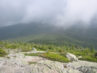 A view north from Mt. Isolation, toward Washington.